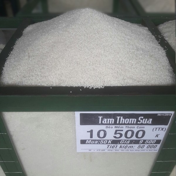 Gạo tấm thơm sữa - Hợp Tác Xã Lương Thực Thái Hùng